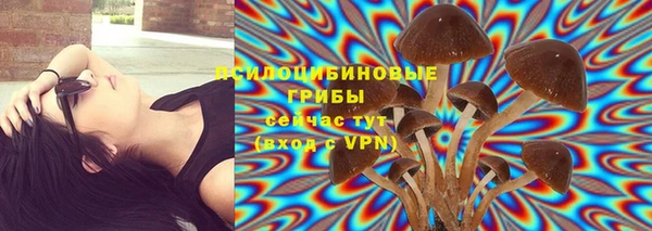 эйфоретик Белоозёрский